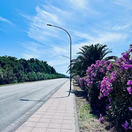 Apartman Orchidea House - Key To